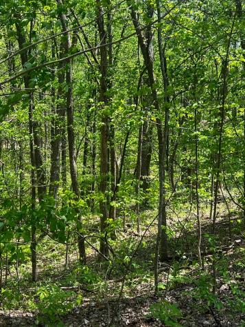 0 Lola Drive Smithville TN 37166