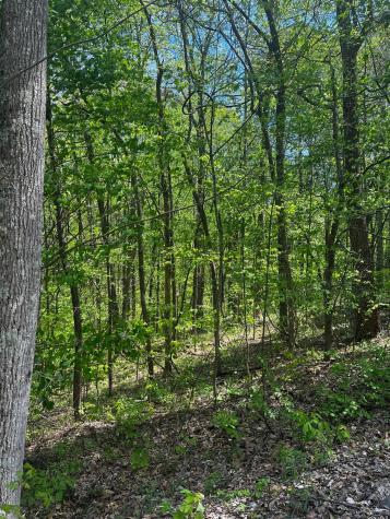 0 Lola Drive Smithville TN 37166