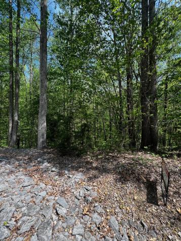 0 Lola Drive Smithville TN 37166