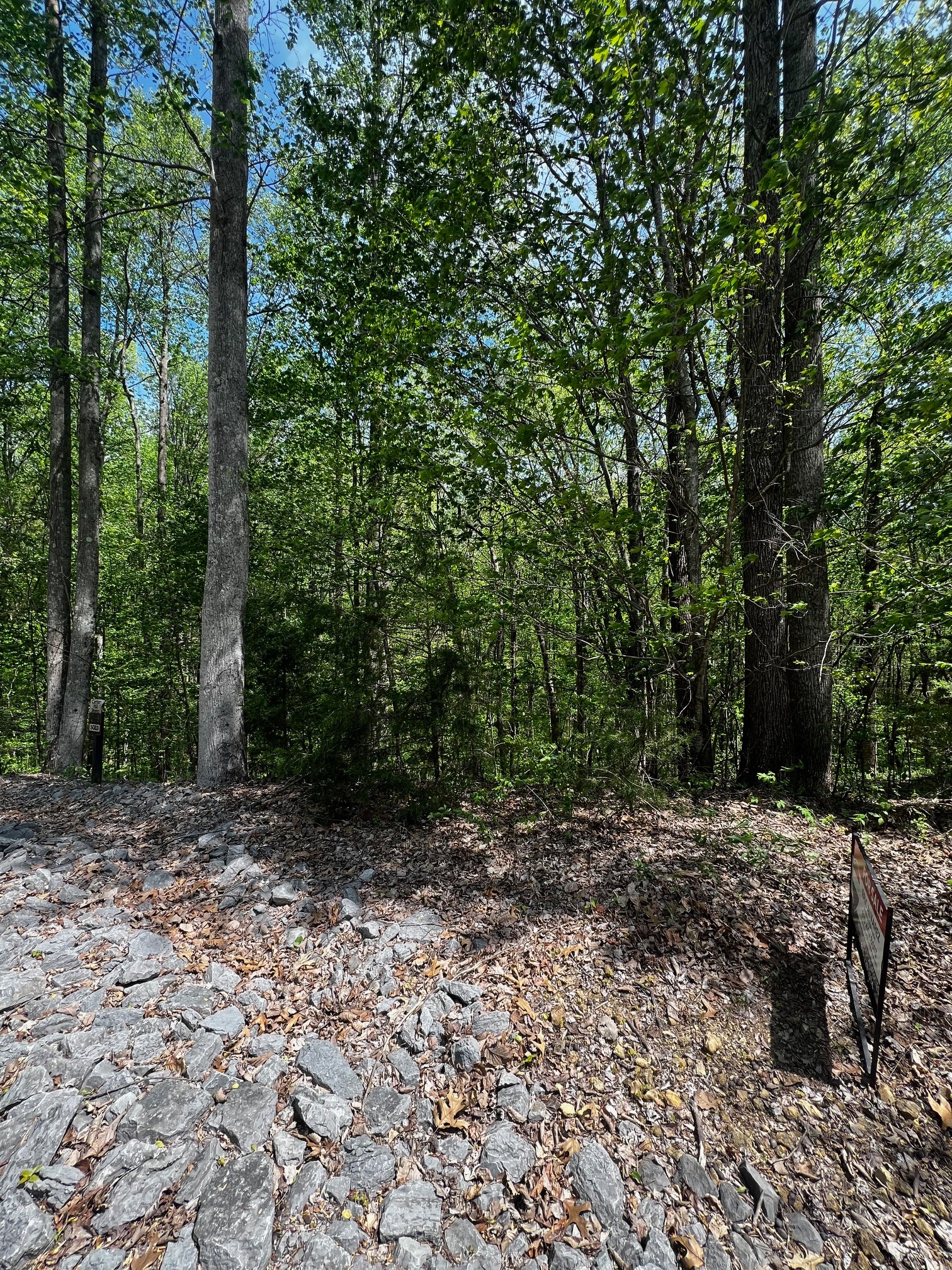 0 Lola Drive Smithville TN 37166