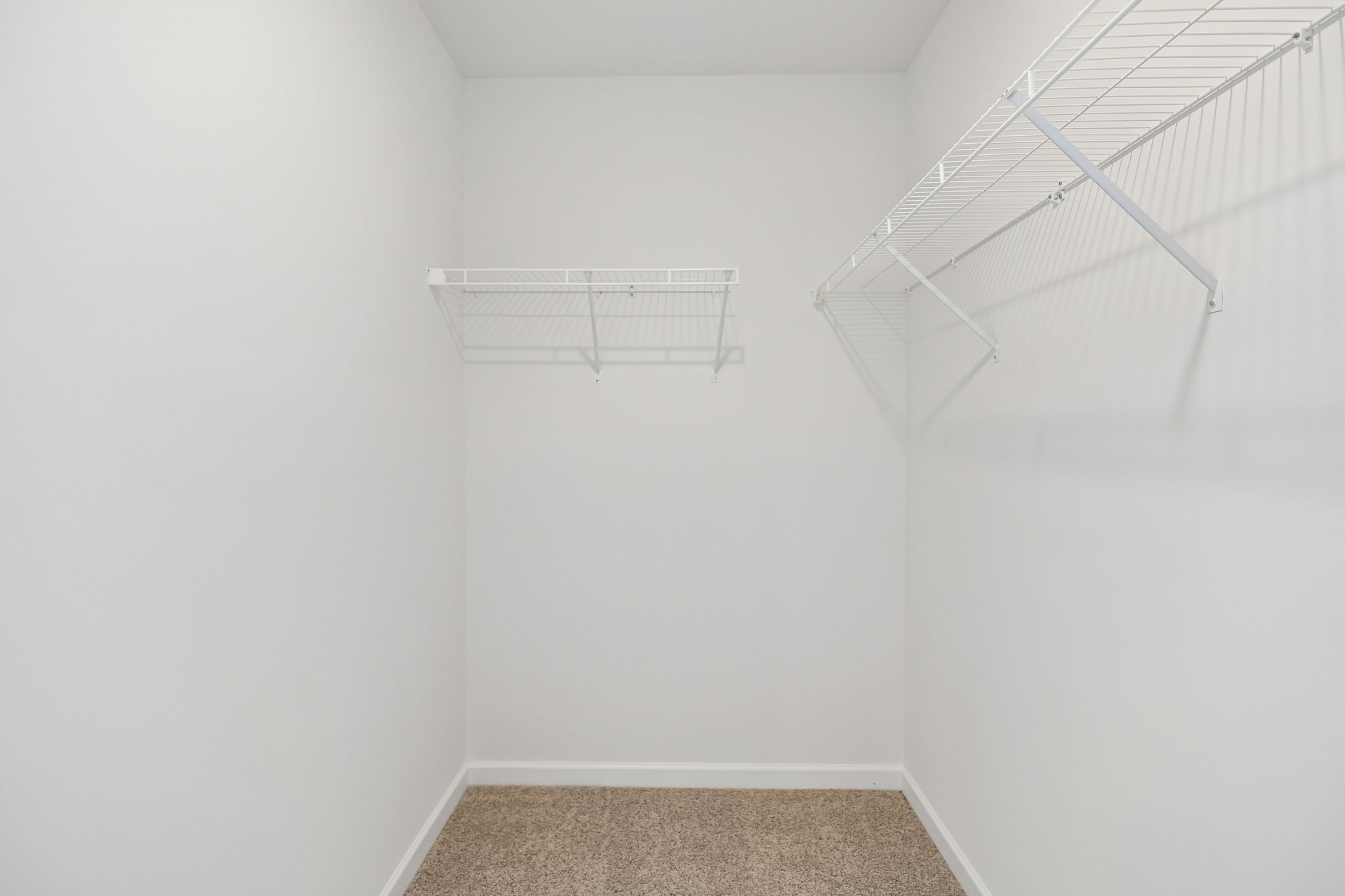 3855 Kindler Court Columbia TN 38401