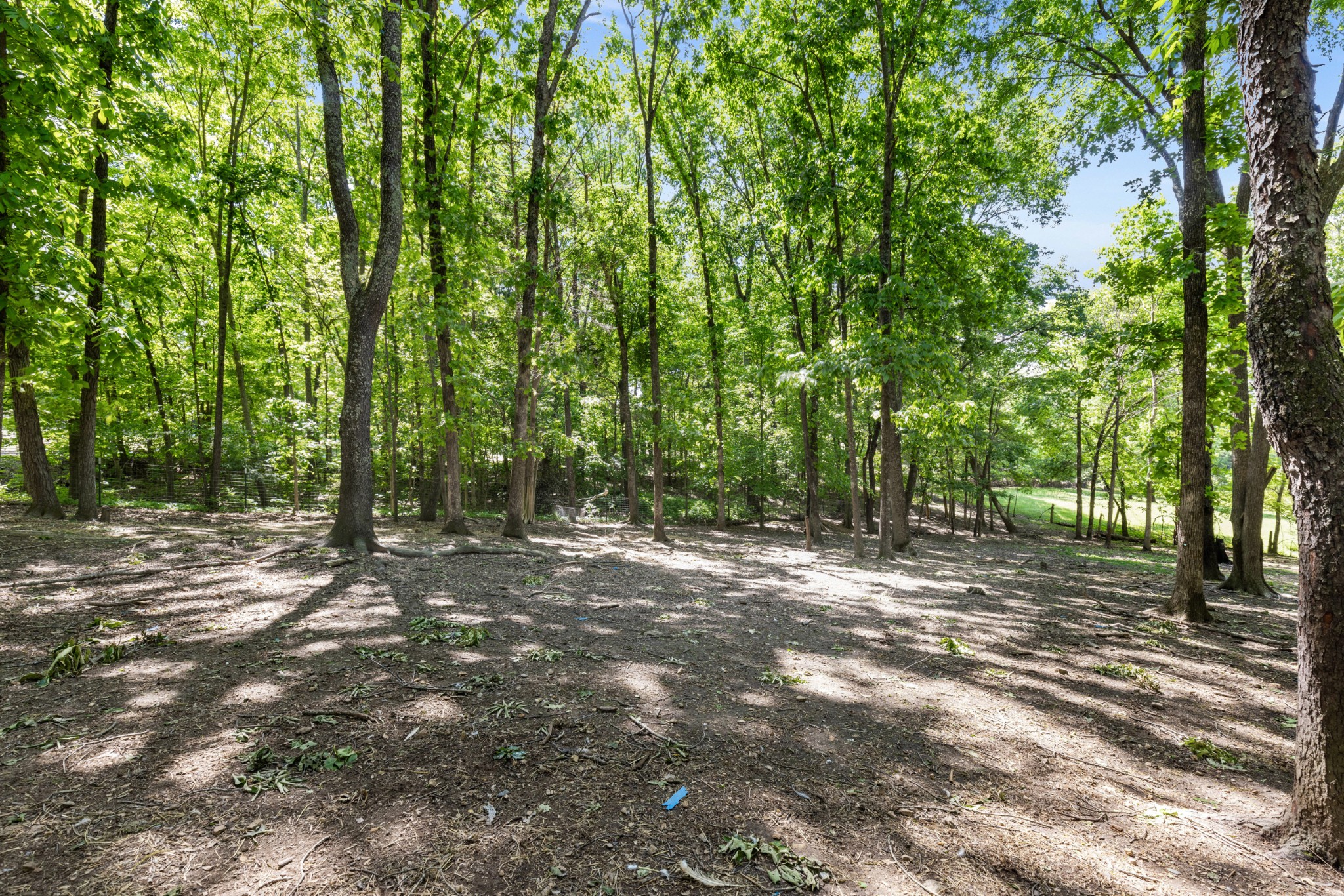 206 Brookwood Drive Burns TN 37029