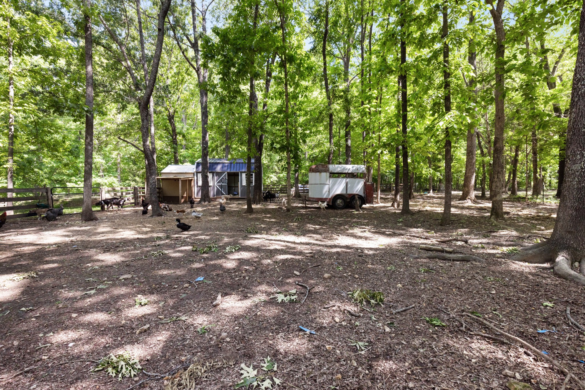 206 Brookwood Drive Burns TN 37029