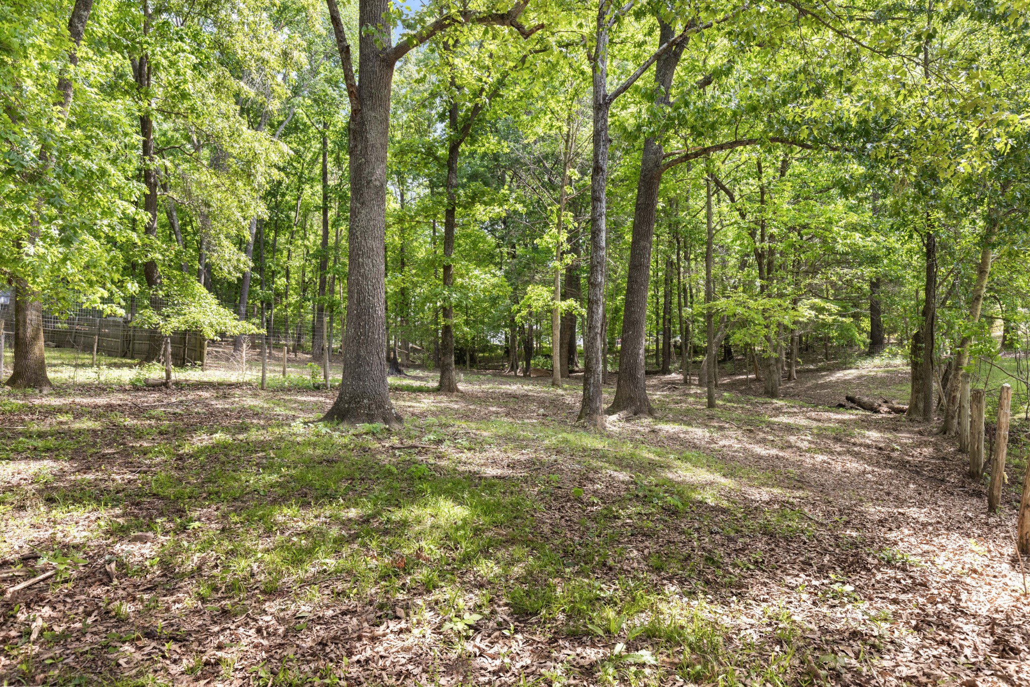 206 Brookwood Drive Burns TN 37029