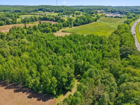 0 Rochelle Lane Hurricane Mills TN 37078