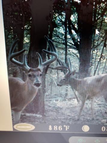 0 Rochelle Lane Hurricane Mills TN 37078