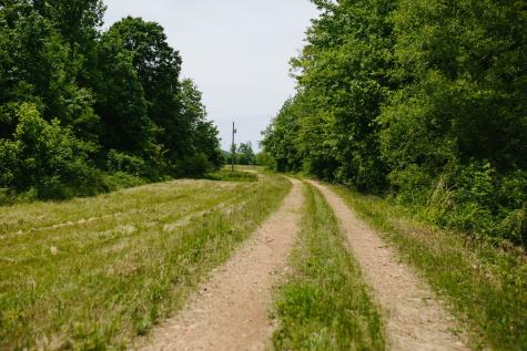 0 Rochelle Lane Hurricane Mills TN 37078