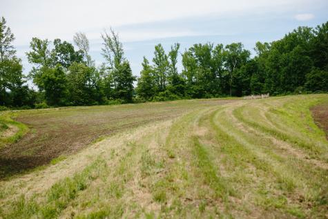 0 Rochelle Lane Hurricane Mills TN 37078