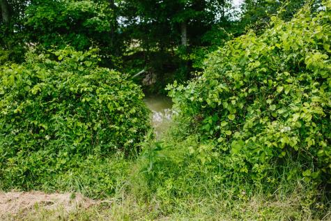 0 Rochelle Lane Hurricane Mills TN 37078