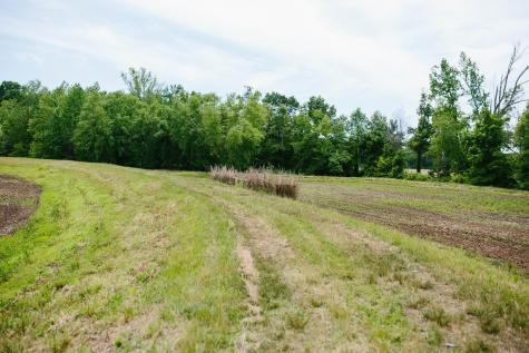 0 Rochelle Lane Hurricane Mills TN 37078
