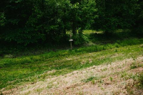 0 Rochelle Lane Hurricane Mills TN 37078