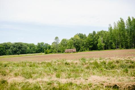 0 Rochelle Lane Hurricane Mills TN 37078