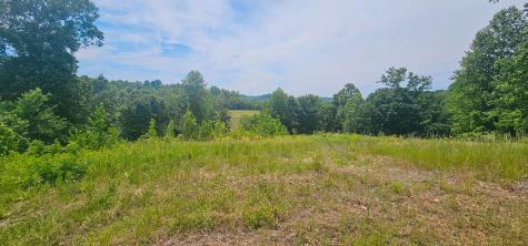 0 Rochelle Lane Hurricane Mills TN 37078