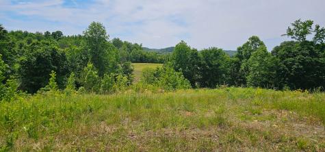 0 Rochelle Lane Hurricane Mills TN 37078