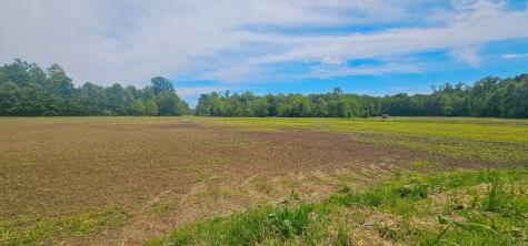 0 Rochelle Lane Hurricane Mills TN 37078