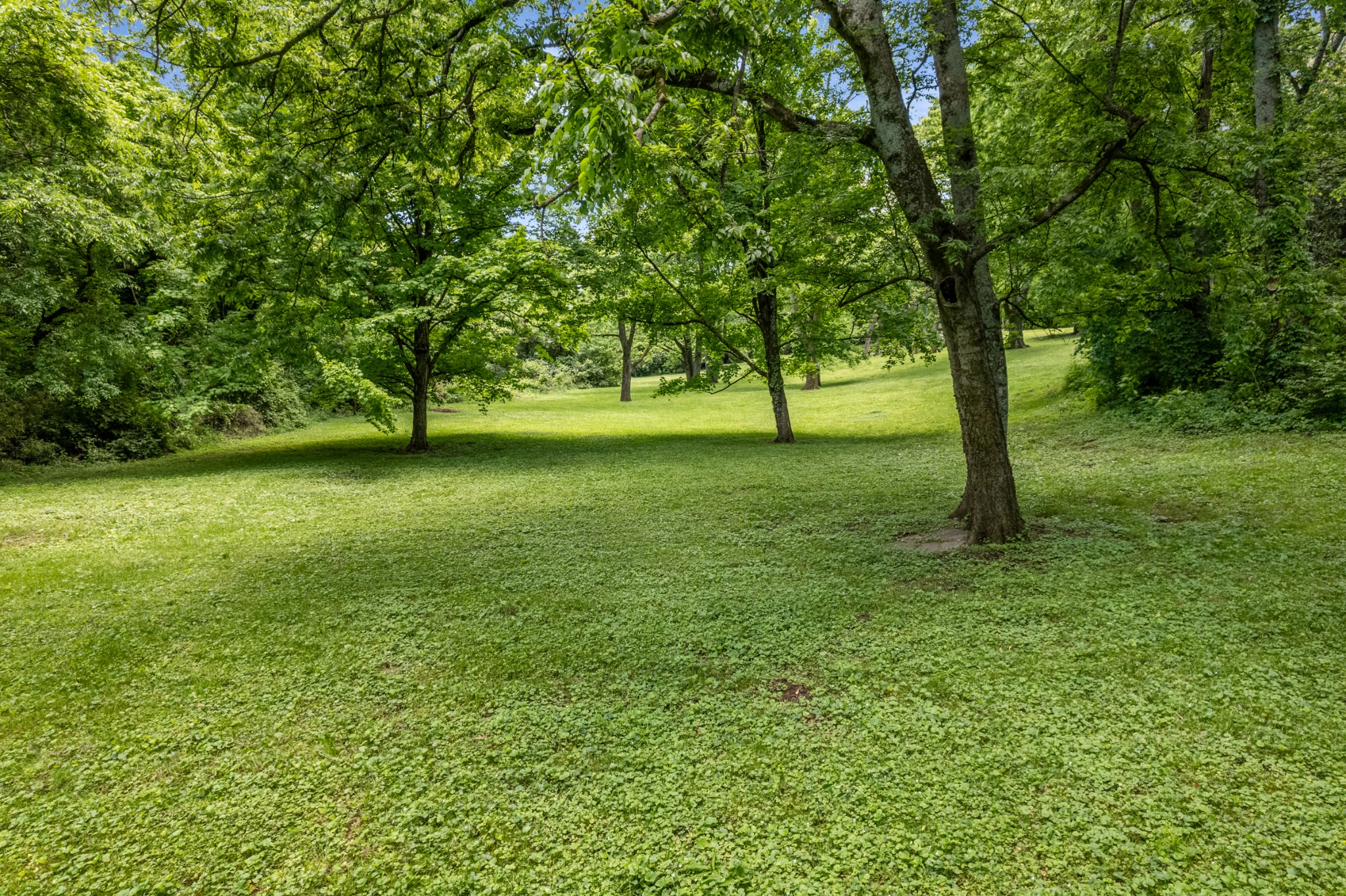 104 Lynnwood Boulevard Nashville TN 37205