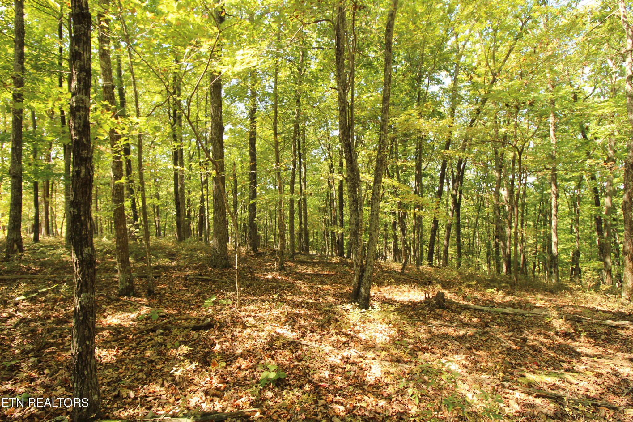 323 Rotherham Drive Crossville TN 38558
