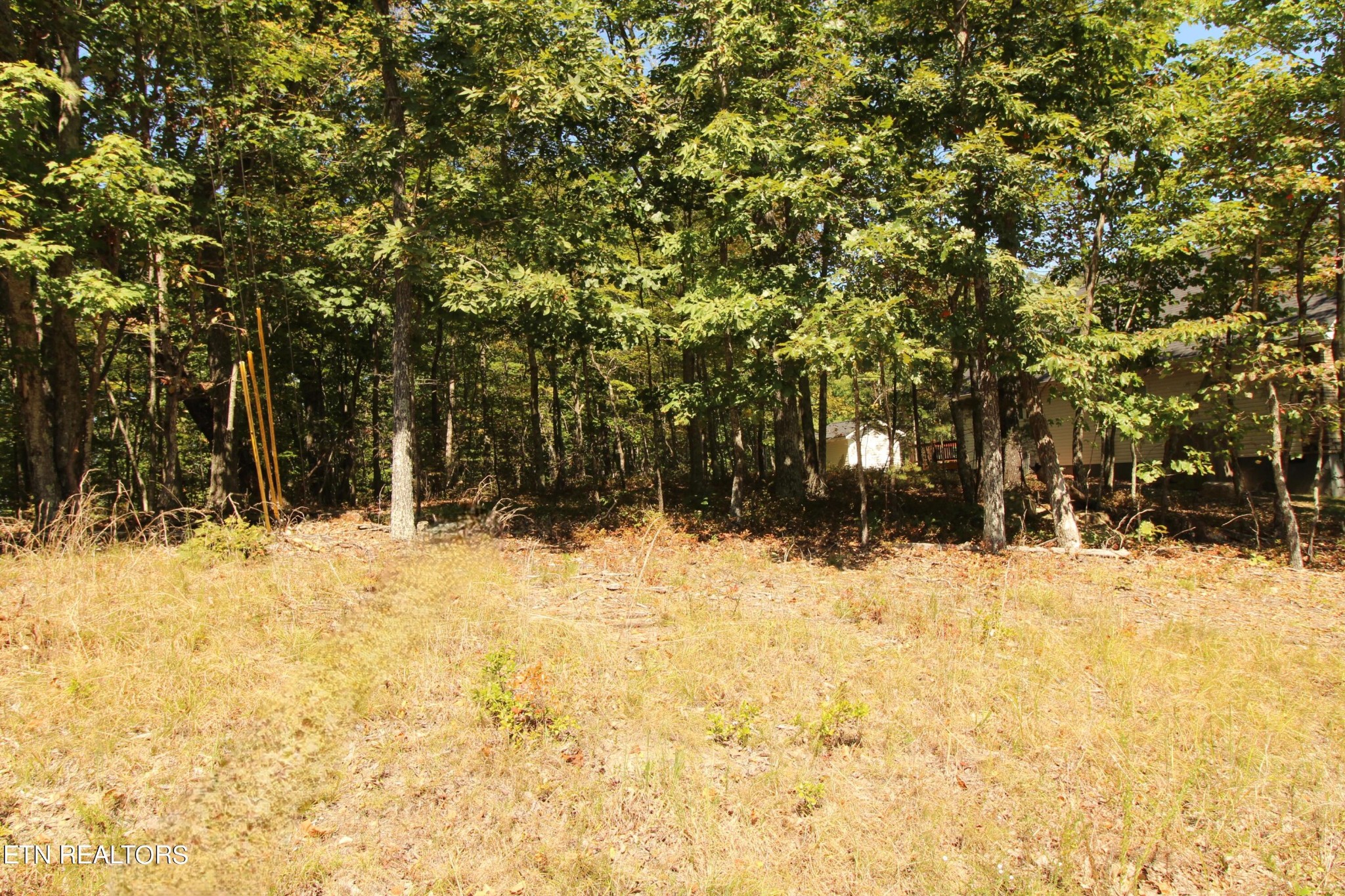 323 Rotherham Drive Crossville TN 38558