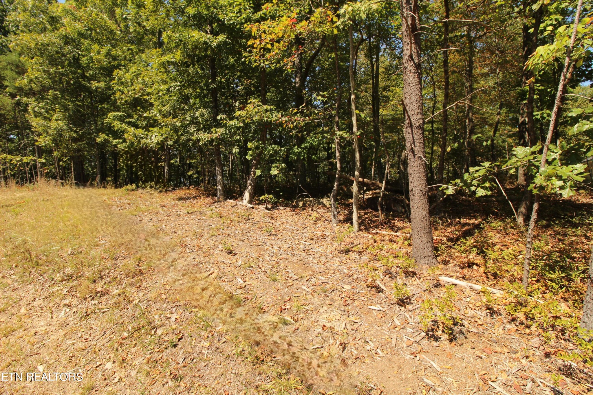 323 Rotherham Drive Crossville TN 38558