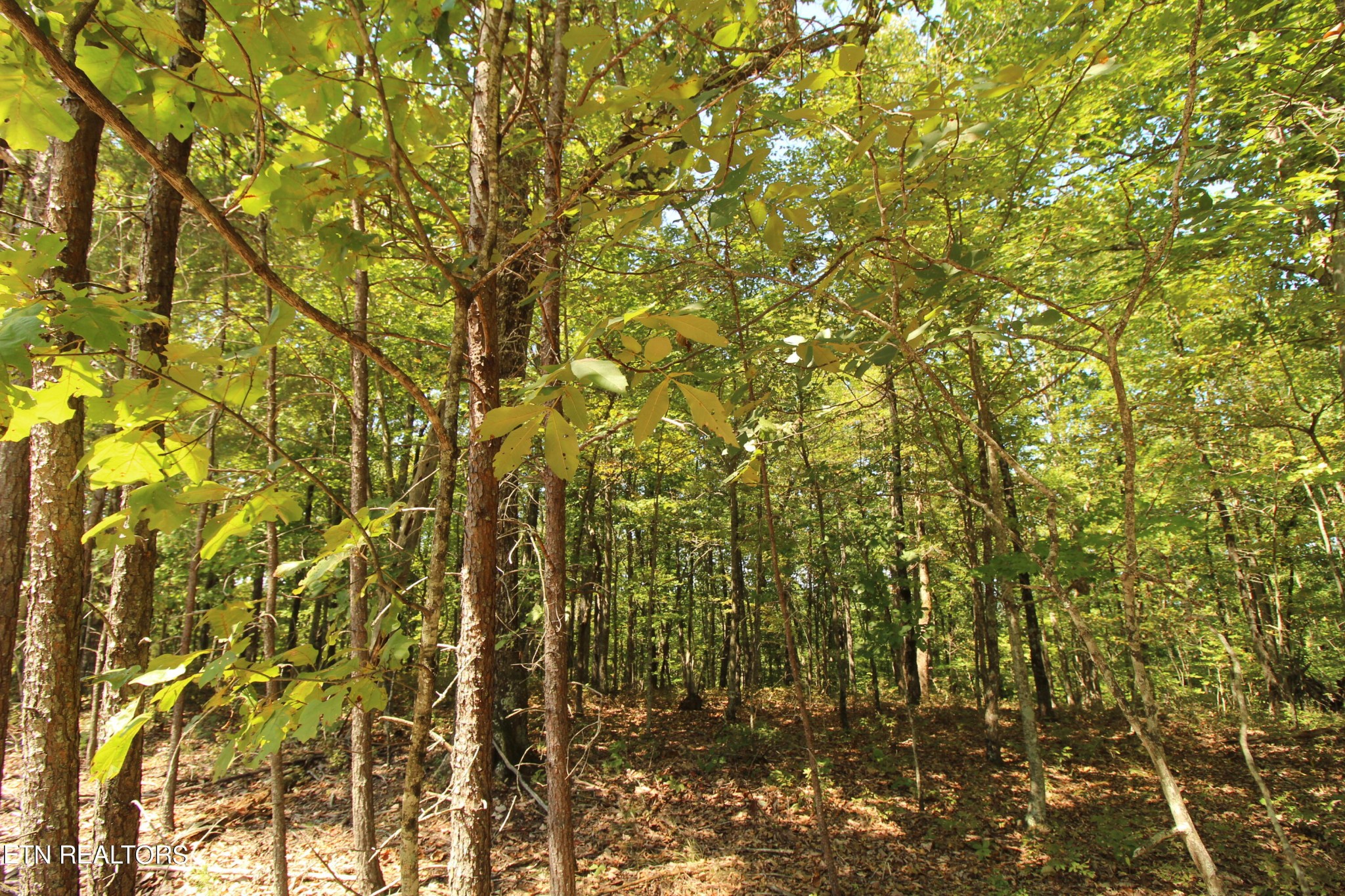 323 Rotherham Drive Crossville TN 38558