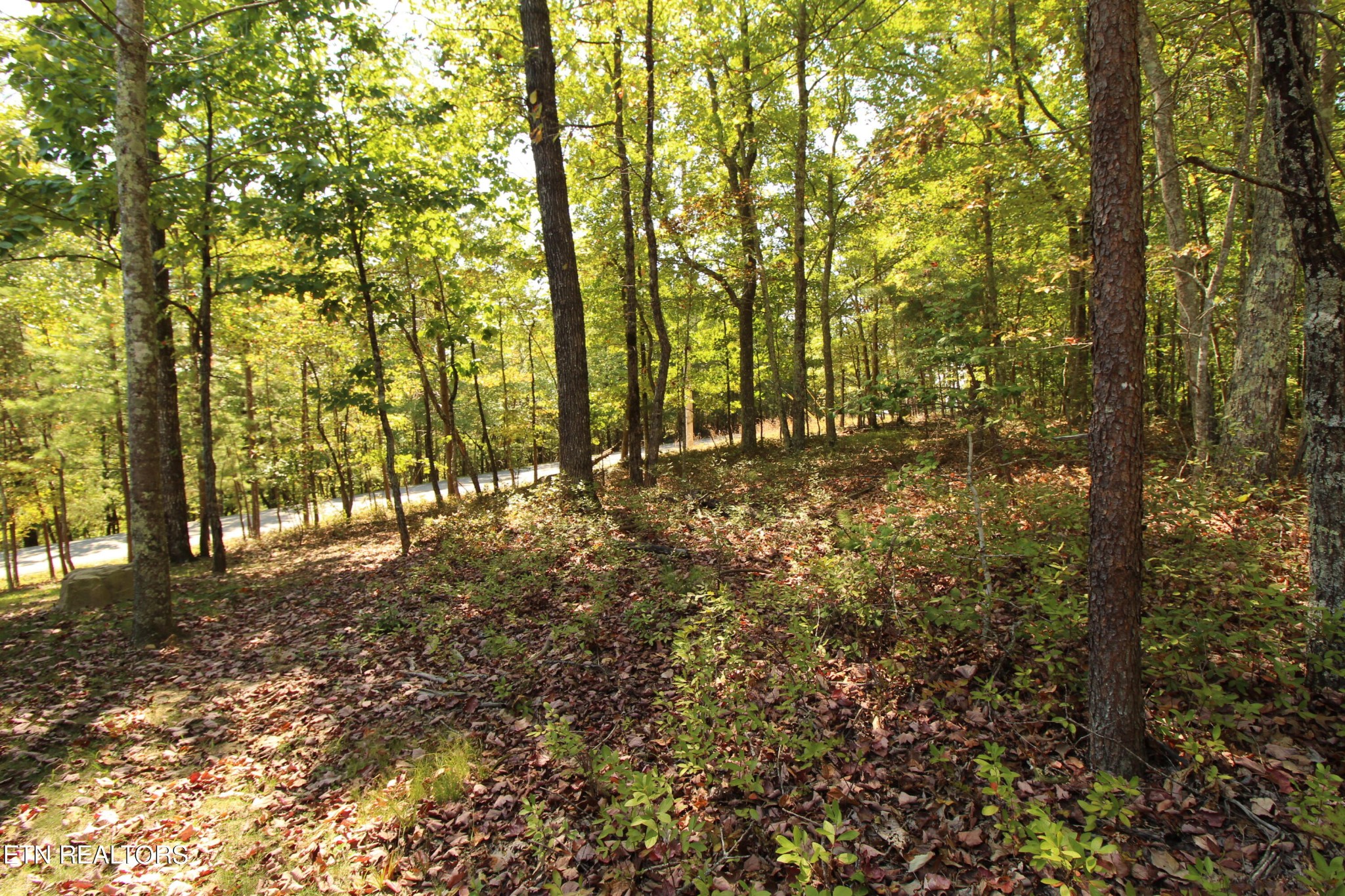 323 Rotherham Drive Crossville TN 38558