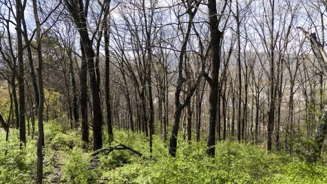 269 Whitehall Road Chattanooga TN 37405