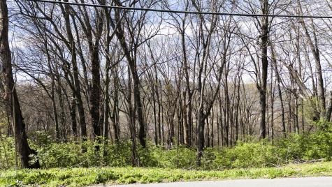 269 Whitehall Road Chattanooga TN 37405