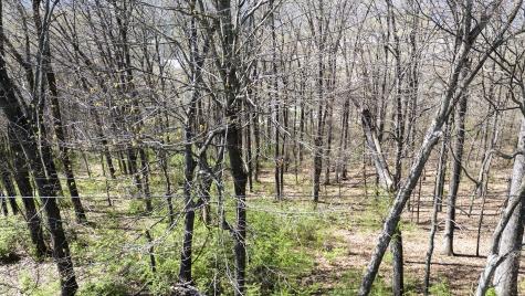 269 Whitehall Road Chattanooga TN 37405