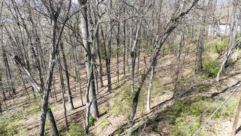 269 Whitehall Road Chattanooga TN 37405