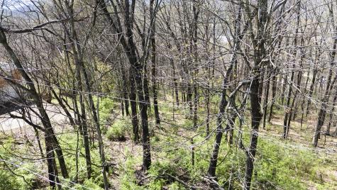 269 Whitehall Road Chattanooga TN 37405