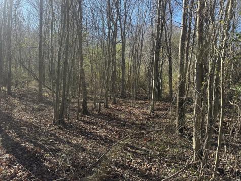 0 Gum Springs Mountain Road Sparta TN 38583