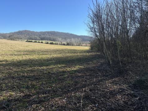 0 Gum Springs Mountain Road Sparta TN 38583