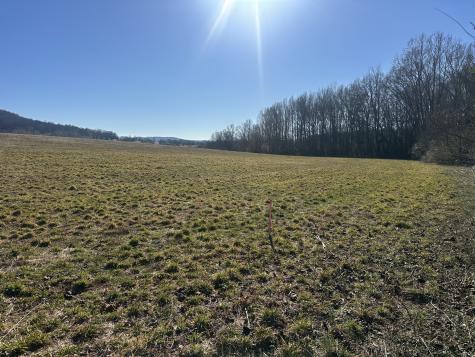 0 Gum Springs Mountain Road Sparta TN 38583