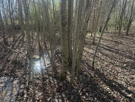 0 Gum Springs Mountain Road Sparta TN 38583