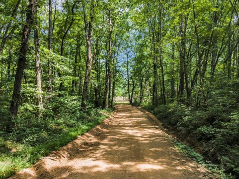 5940 Hassells Creek Lane Lyles TN 37098