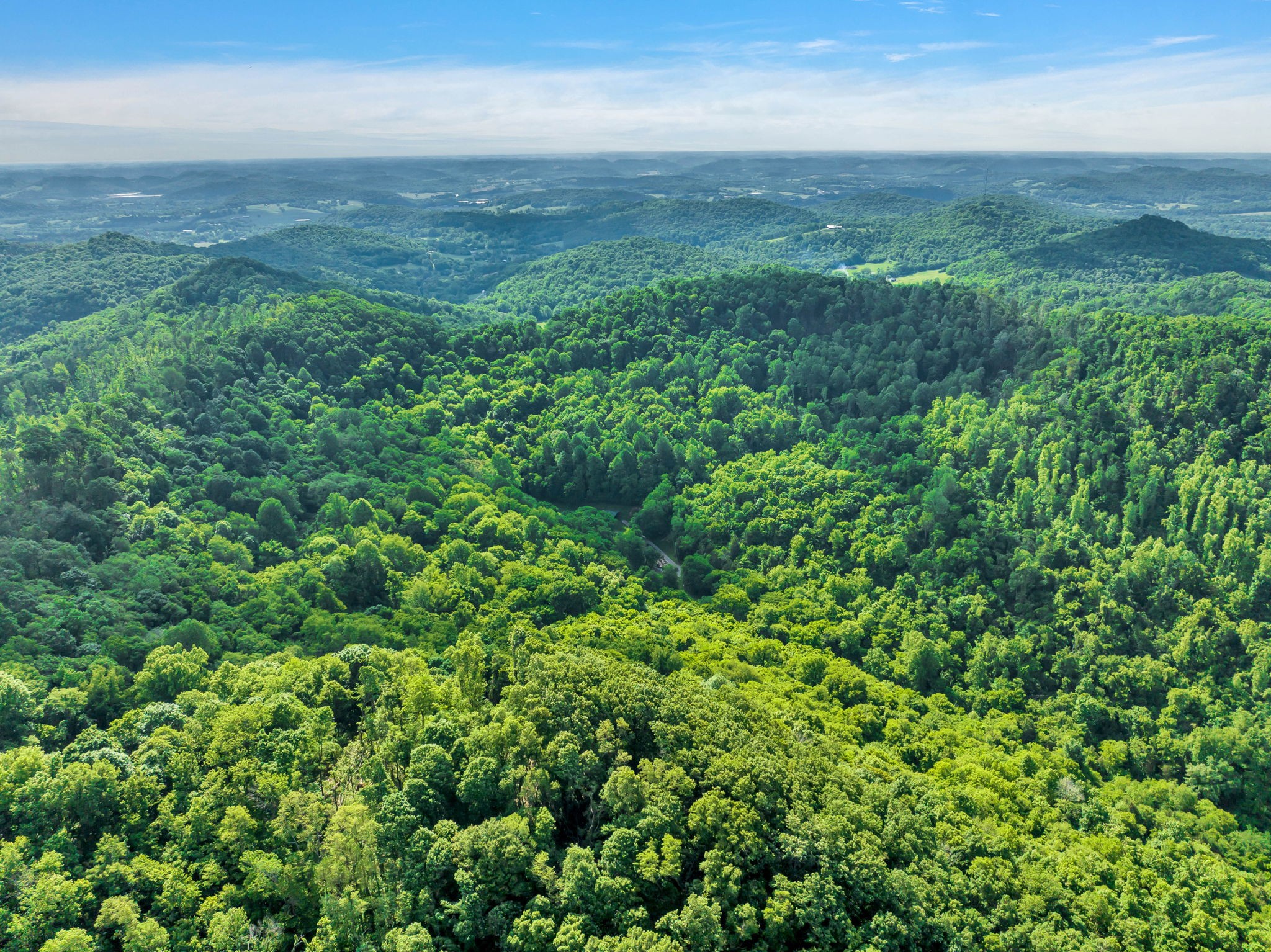 27 Bussell Lane Gordonsville TN 38563