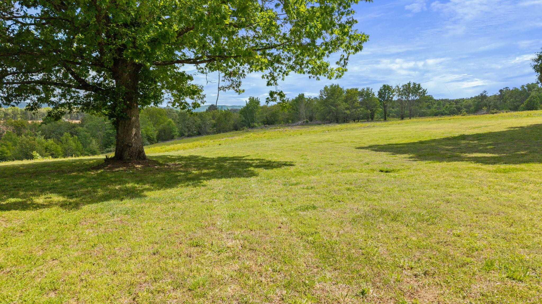 10006 Birchwood Pike Harrison TN 37341