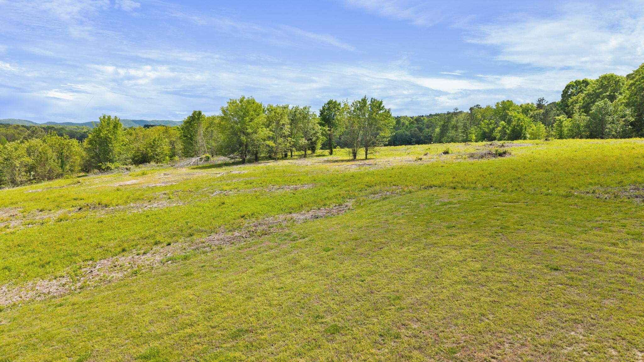 10006 Birchwood Pike Harrison TN 37341
