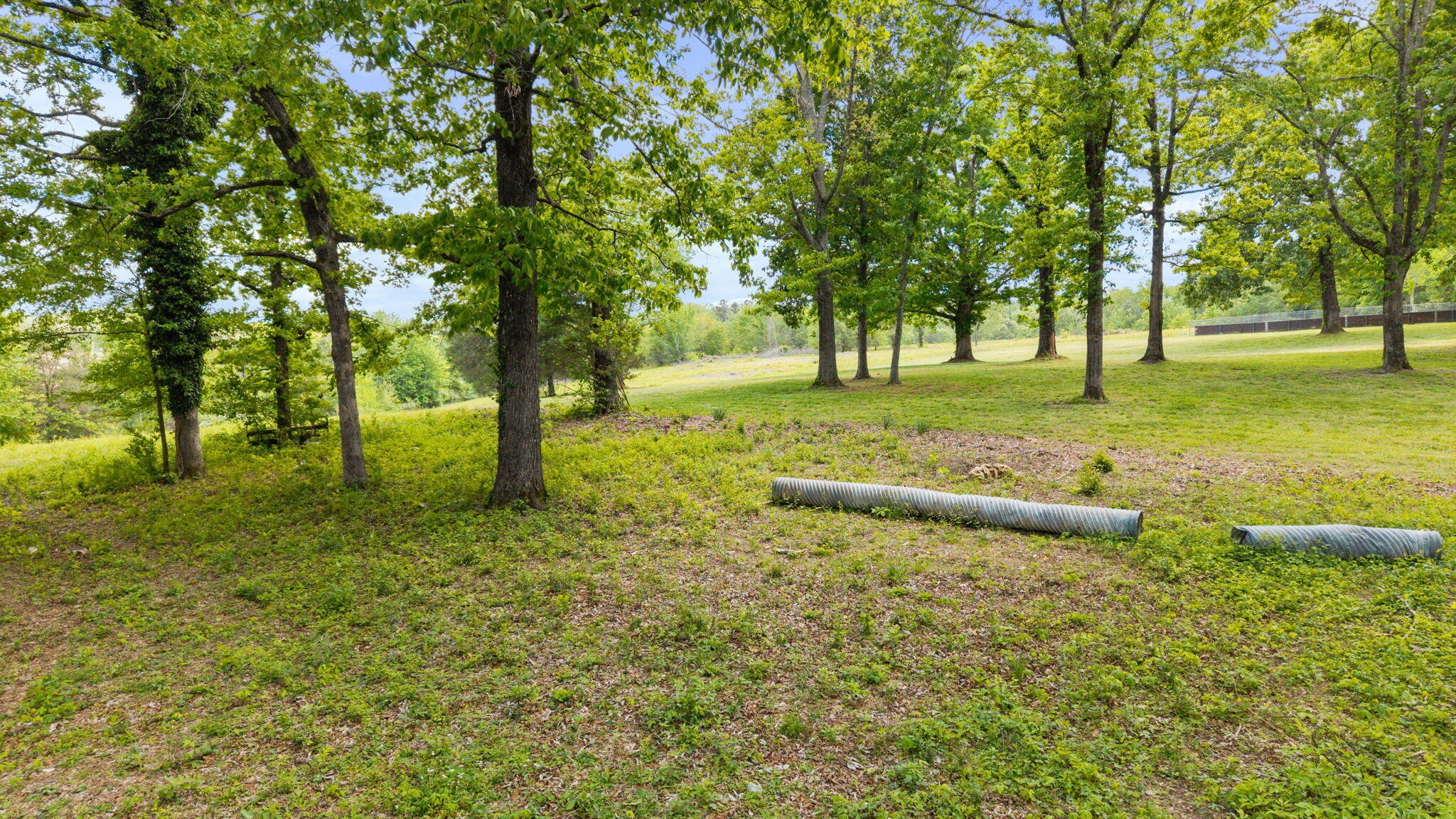 10006 Birchwood Pike Harrison TN 37341