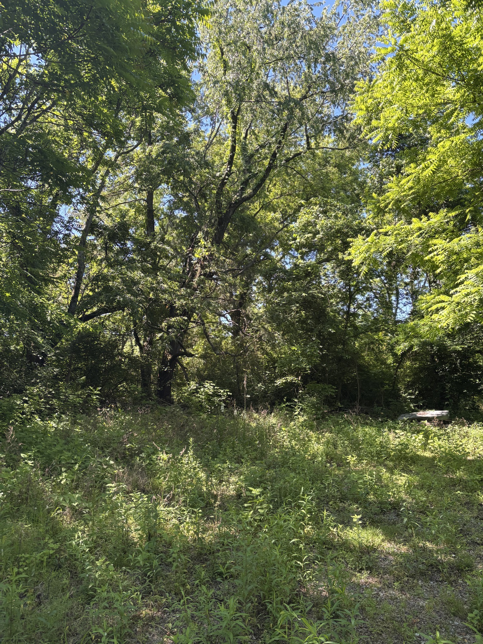 4112 Columbia Pike Franklin TN 37064