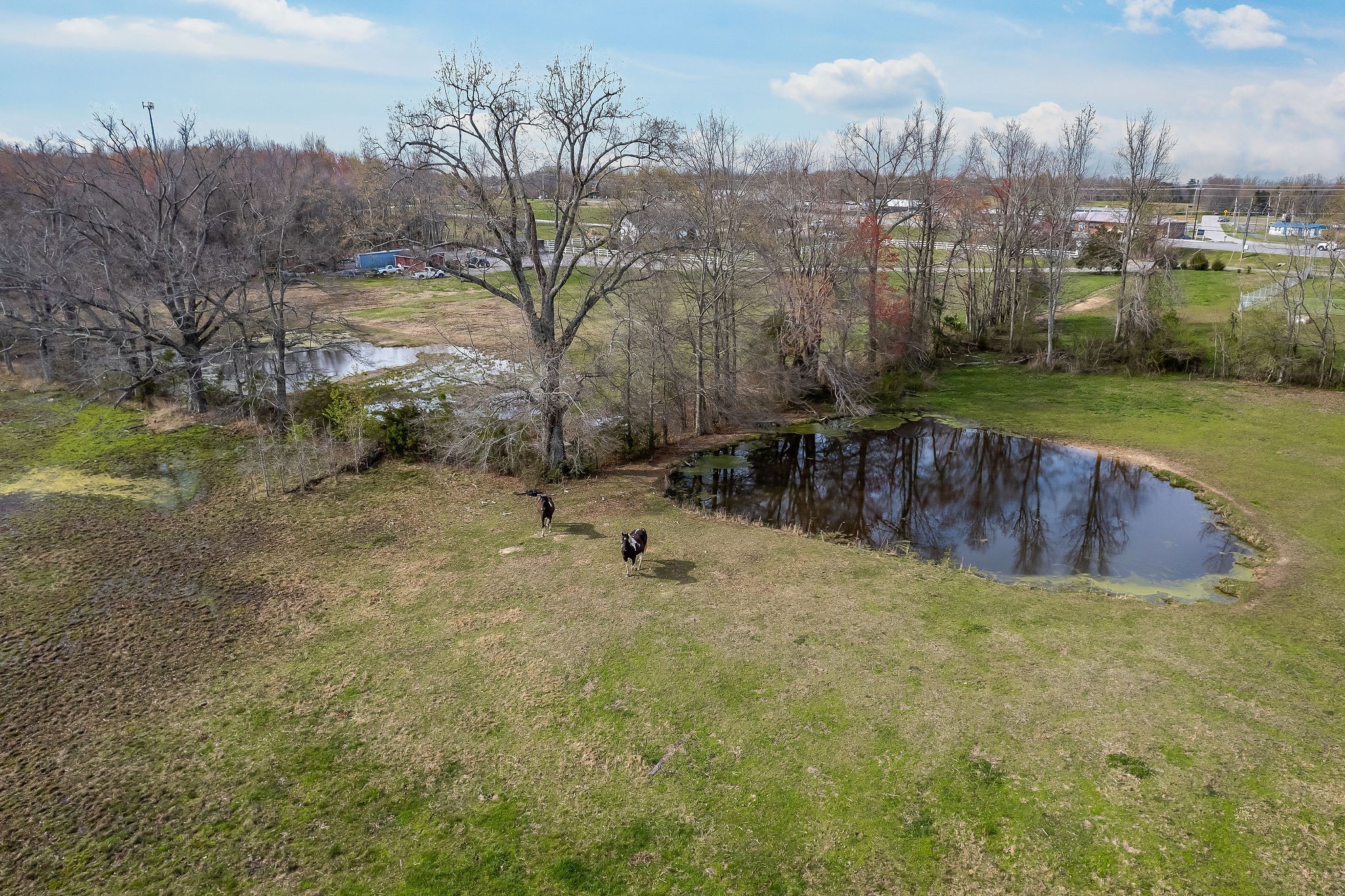 1131 W Broad Street Smithville TN 37166