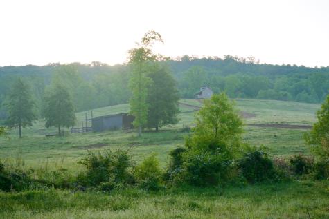 40a Barker Cove Loop Palmer TN 37365