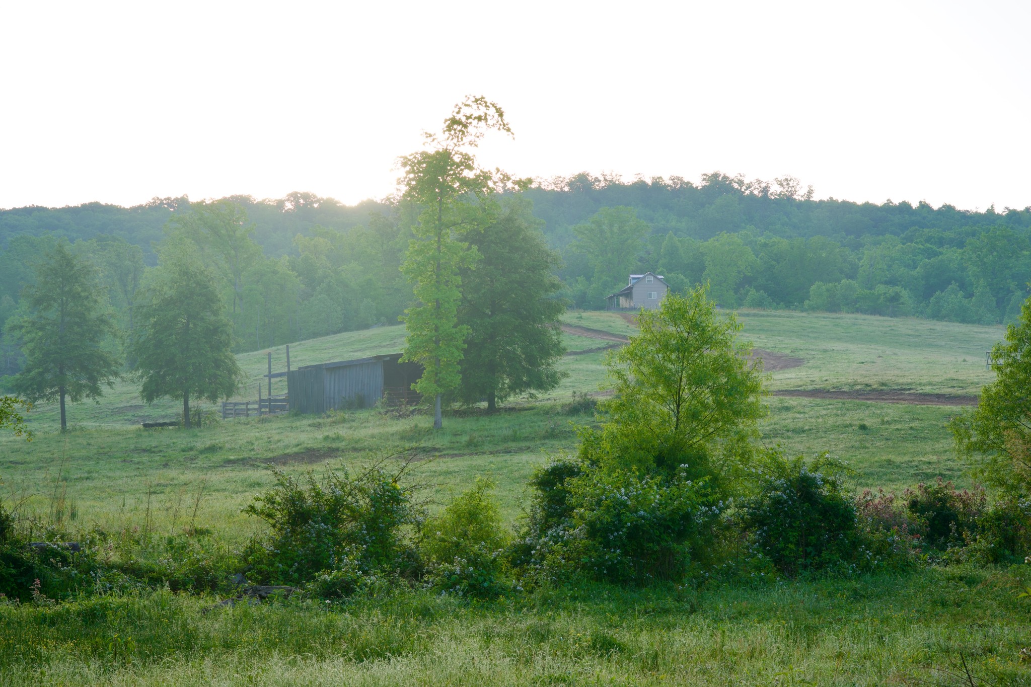 40a Barker Cove Loop Palmer TN 37365