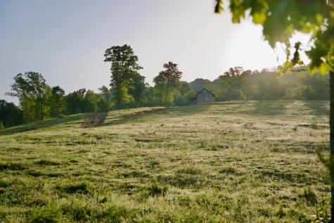 40a Barker Cove Loop Palmer TN 37365