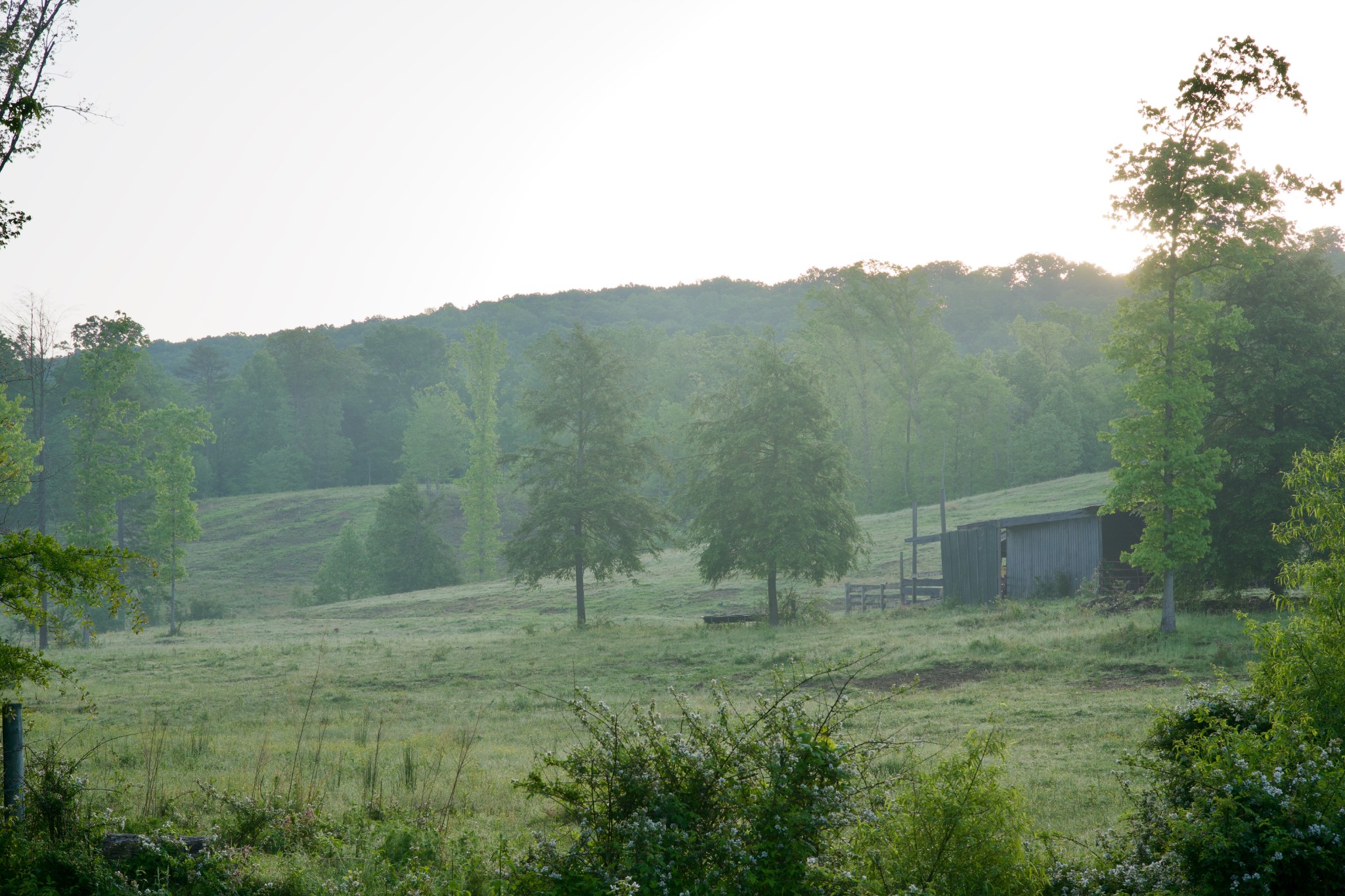 40a Barker Cove Loop Palmer TN 37365