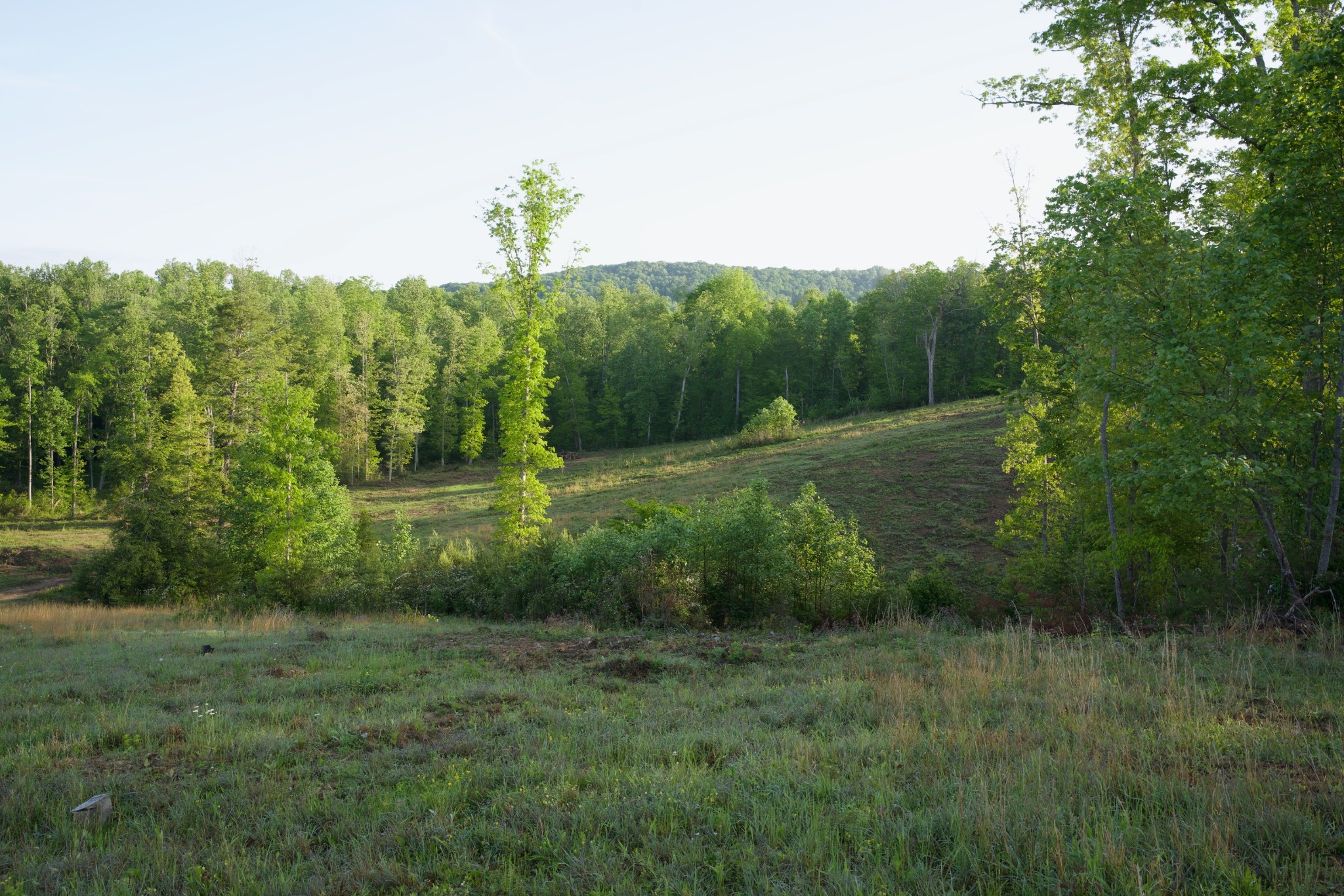 40a Barker Cove Loop Palmer TN 37365