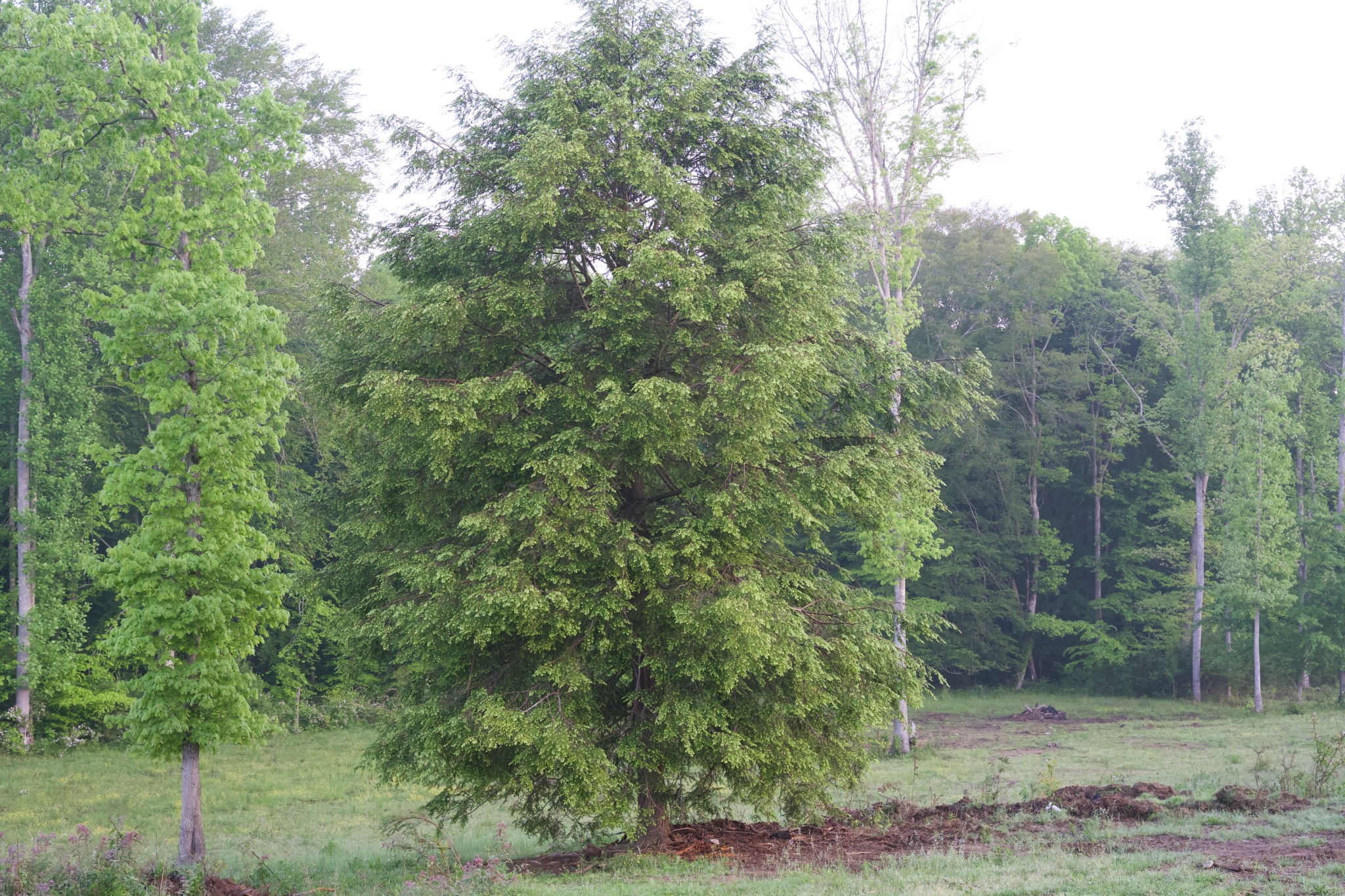 40a Barker Cove Loop Palmer TN 37365