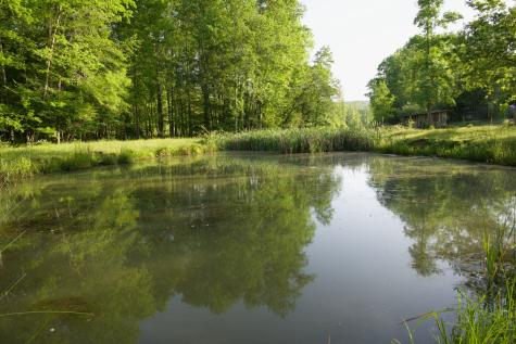 40a Barker Cove Loop Palmer TN 37365