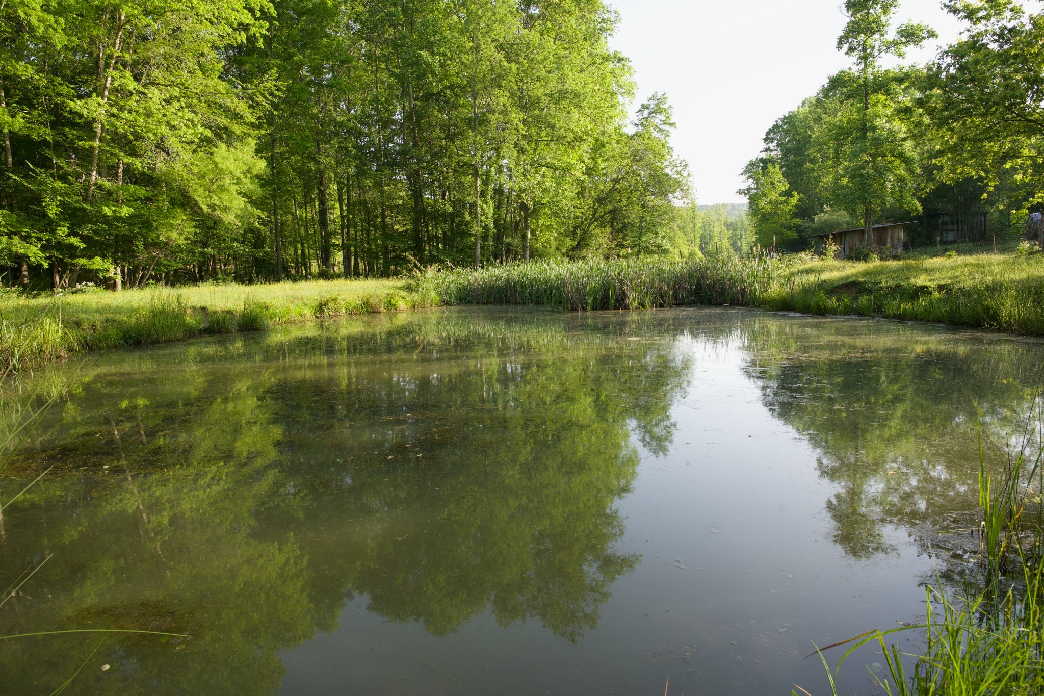 40a Barker Cove Loop Palmer TN 37365