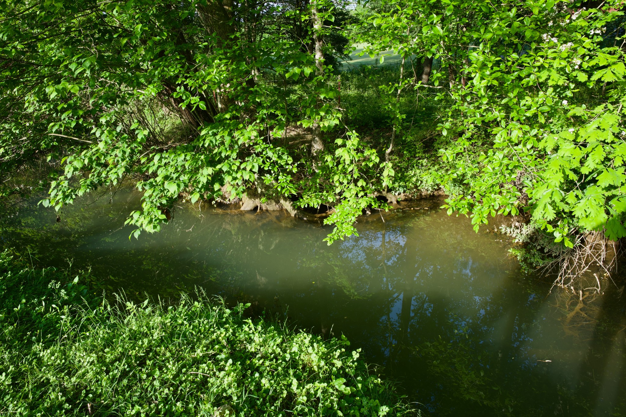 40a Barker Cove Loop Palmer TN 37365